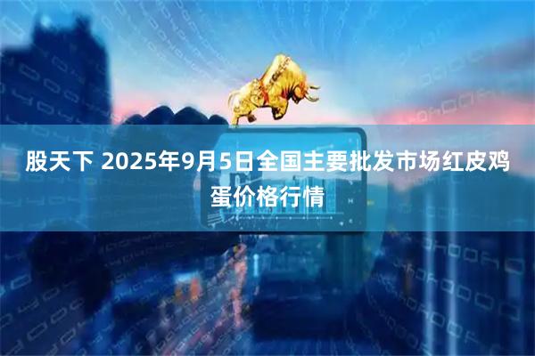 股天下 2025年9月5日全国主要批发市场红皮鸡蛋价格行情