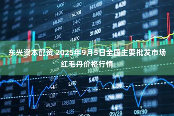 东兴资本配资 2025年9月5日全国主要批发市场红毛丹价格行情