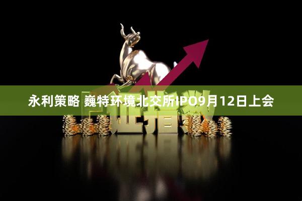 永利策略 巍特环境北交所IPO9月12日上会