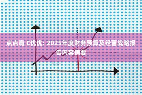 点点赢 C优优: 2025年度财务预算及经营战略报告内容摘要